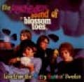 Canciones traducidas de blossom toes