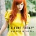 Canciones traducidas de a fine frenzy