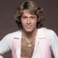 Canciones traducidas de andy gibb