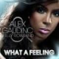 Canciones traducidas de alex gaudino ft. kelly rowland