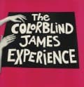 Canciones traducidas de colorblind james experience