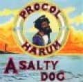 Canciones traducidas de a salty dog