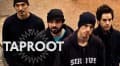 Canciones traducidas de taproot