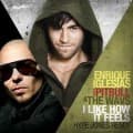 Canciones traducidas de pitbull feat. enrique iglesias