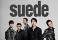 Canciones traducidas de suede