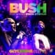 bush