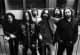 black crowes