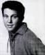 bobby vinton