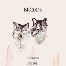 broods