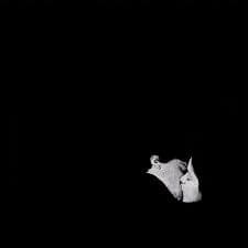bob moses